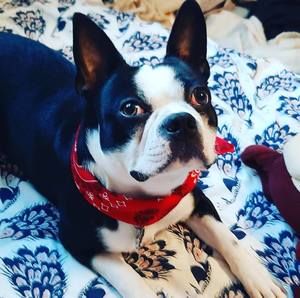 Meet your Posher, Nokkeo pakse